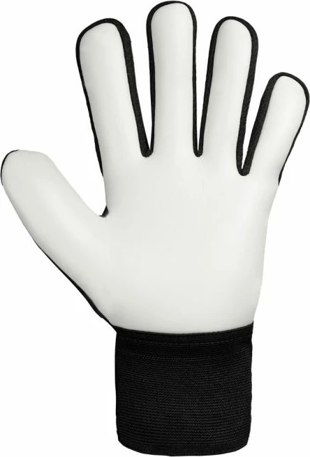 Rokavice za vratarje Reusch, črne, moške