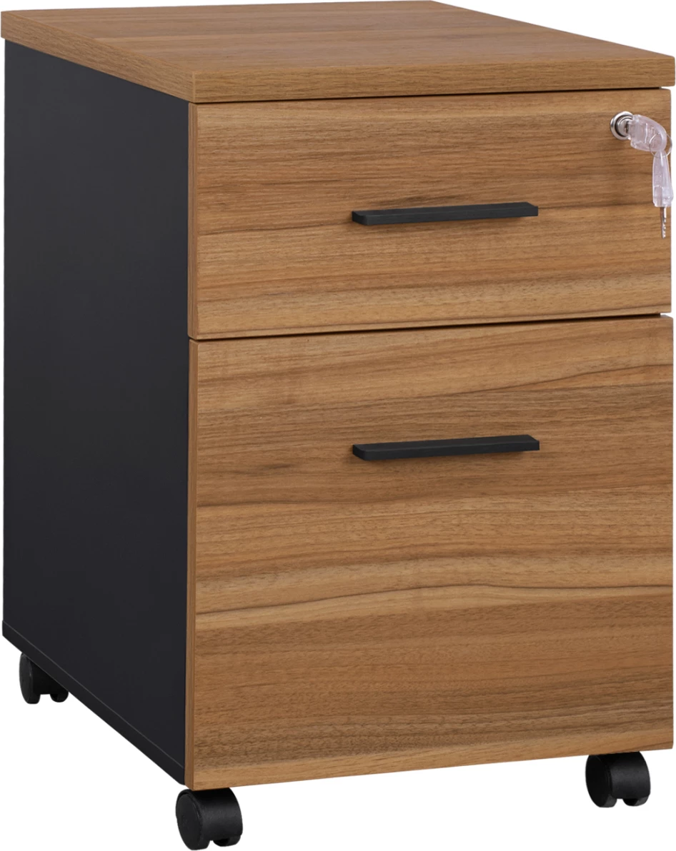 Profesionalni pisarniški predalnik z 2 predaloma Supreme 38x40x60 FH2356