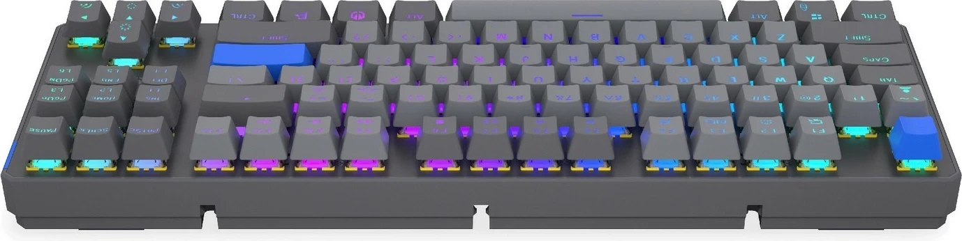 Mehanska brezžična tipkovnica Endorfy Thock V2 TKL, RGB, 87 tipk, siva