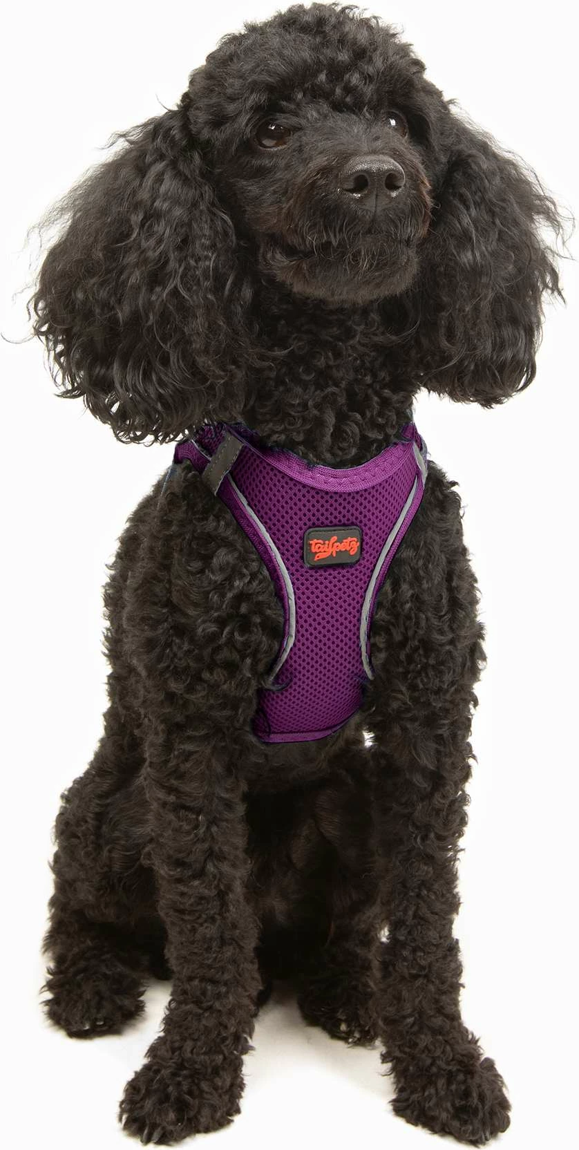 Oprsnica za psa Air-Mesh, vijolična, Paws & Whiskers
