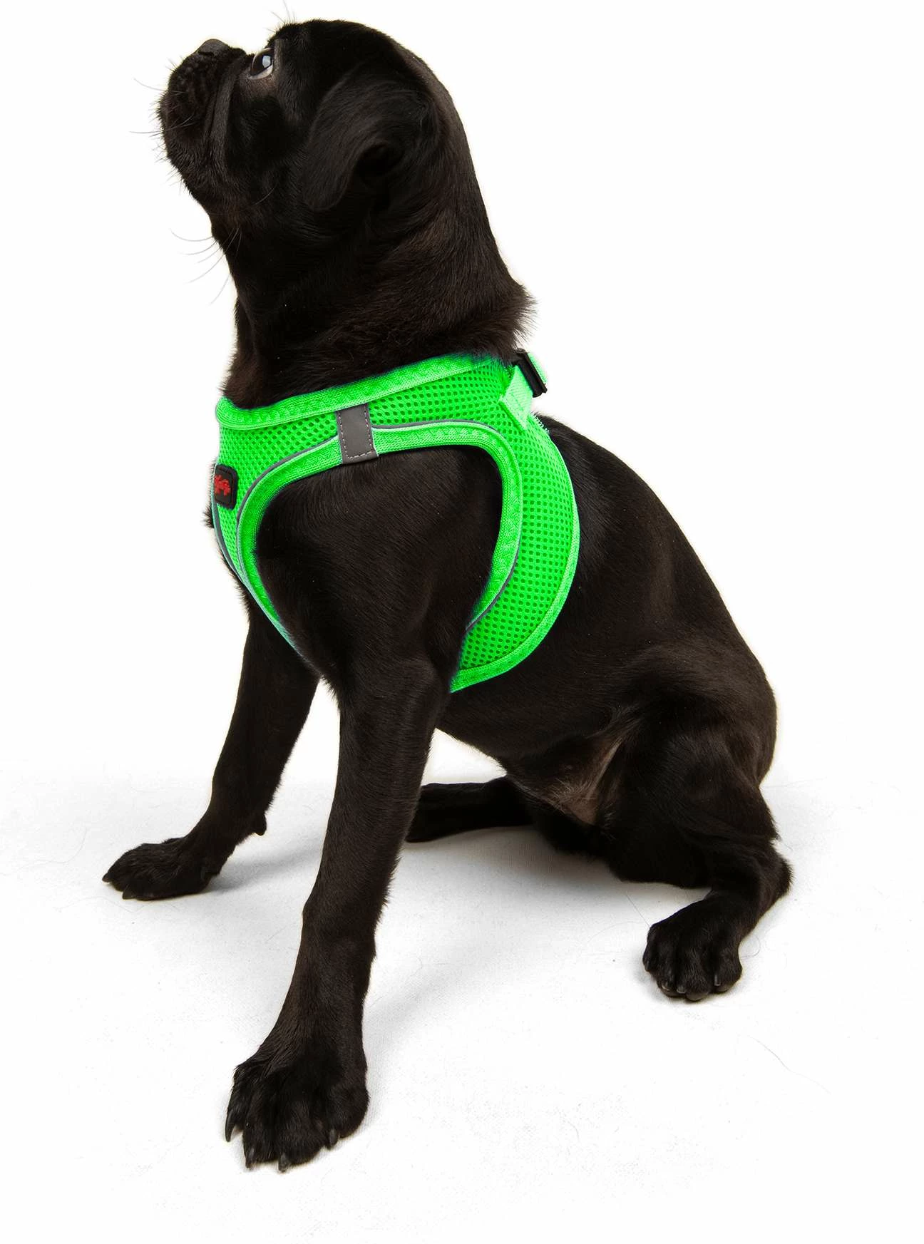 Oprsnica za psa Air-Mesh, Neo Green, Paws & Whiskers