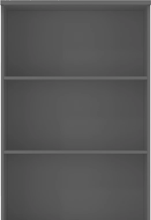 Profesionalna polica za knjige Denith, temno siva, 80x40x200 cm