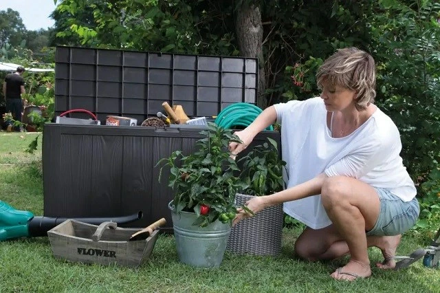 Shramba za shranjevanje Sherwood 270 L, KETER, grafit