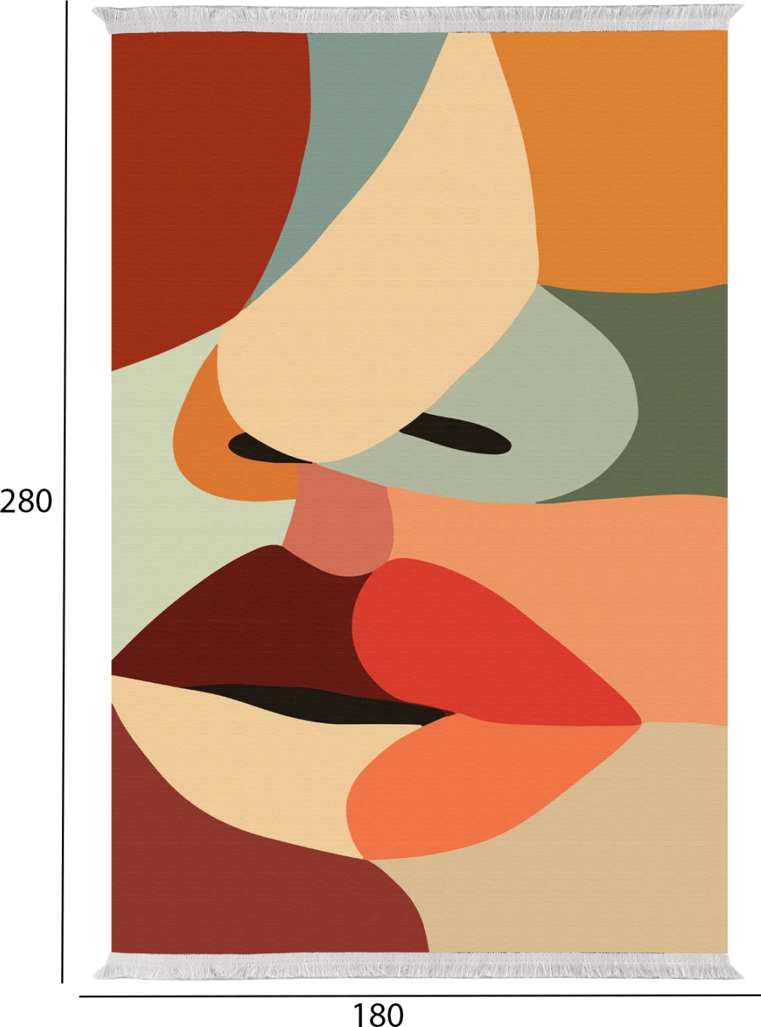 Preproga za dnevno sobo z resicami JOSIANE FH7723.47 večbarvna 180x280