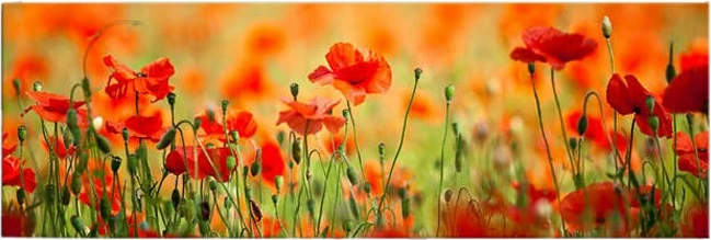 Dekorativna slika na platnu z LED osvetlitvijo, večbarvna, Wallity 3090İACT-13, 30x90 cm