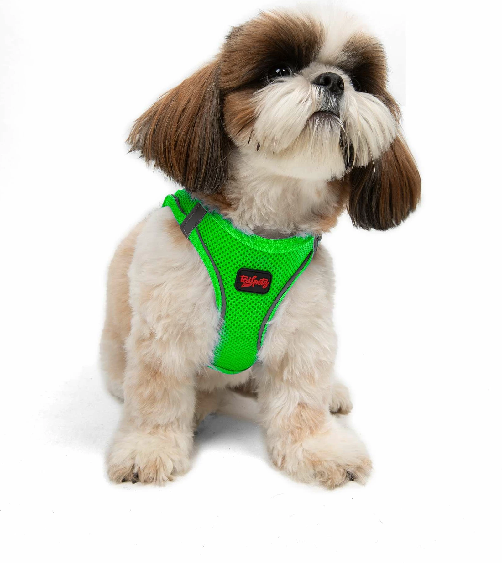 Oprsnica za psa Air-Mesh, Neo Green, Paws & Whiskers