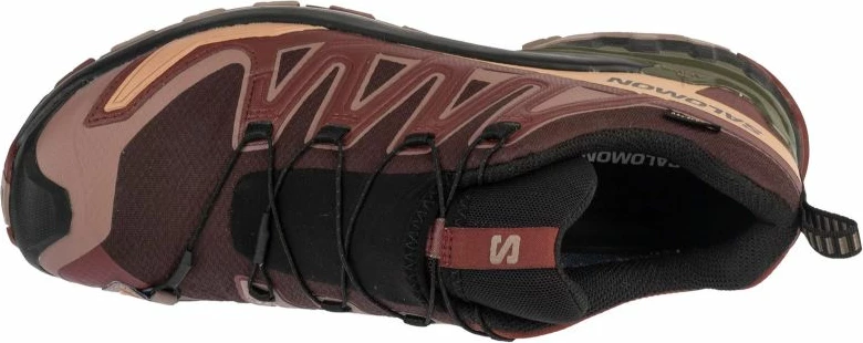 Tekaške superge Salomon XA Pro 3D v9 GTX M L47583500, moški, rjave