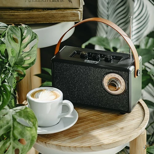 Prenosni Bluetooth zvočnik Camry CR1902, FM, USB-C, črn