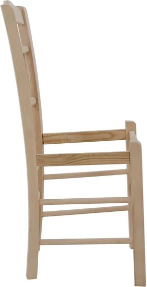Tradicionalni stol brez barvnega okvirja 41,5x44,5x88,5cm FH8466