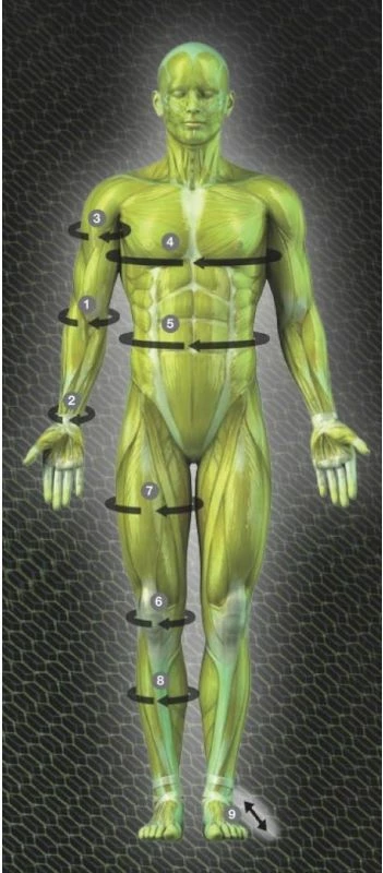 Stabilizator kolena z luknjo Select, za moške in ženske, črn