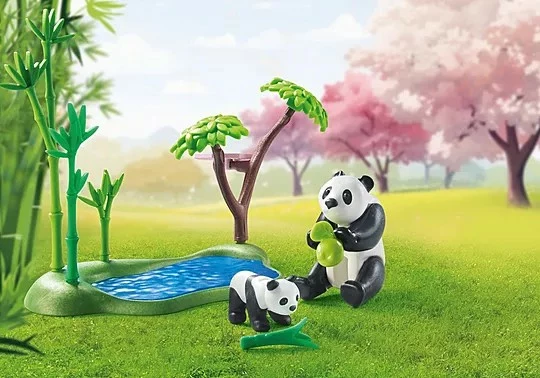 Igralni set Asian Garden s pando, Playmobil My Life 71762, 111 delov
